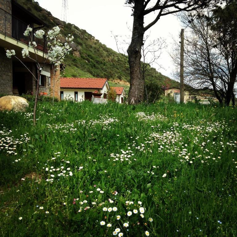 Taverna Centomani Потенца Екстериор снимка